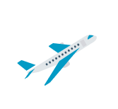 Plane flying